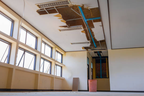 Carpet water damage restoration in Poncha Springs, CO