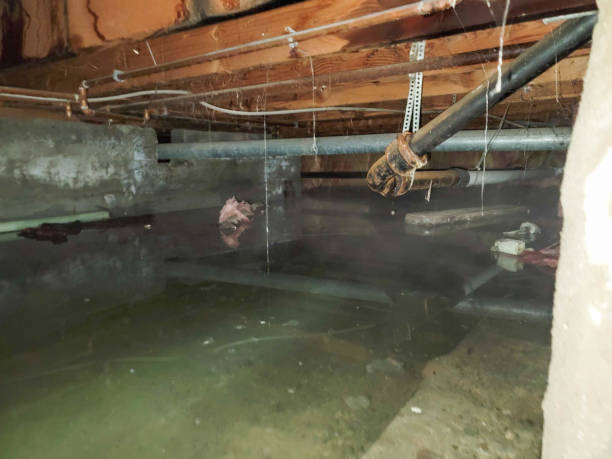 Water damage restoration experts in Poncha Springs, CO