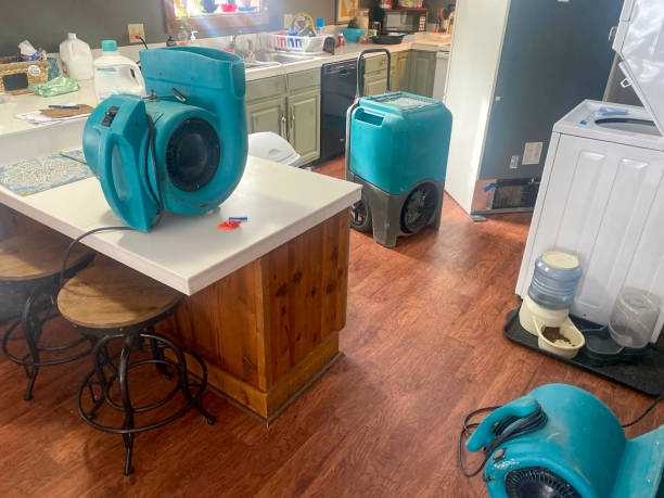 Water damage restoration mold remediation in Poncha Springs, CO