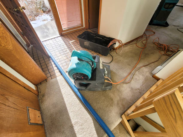 Best Water damage contractors near me  in Poncha Springs, CO