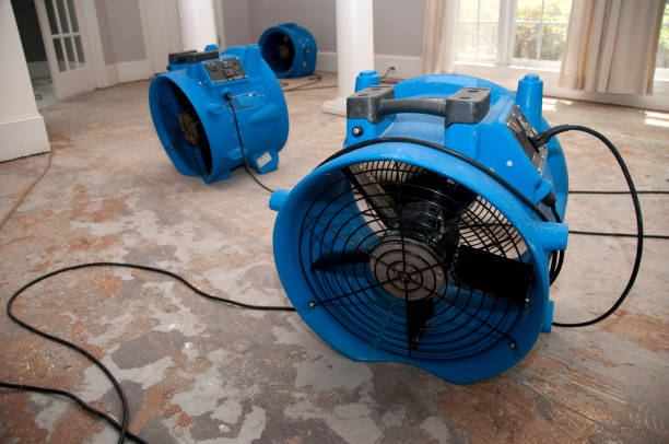 Fire Damage Restoration in Poncha Springs, CO