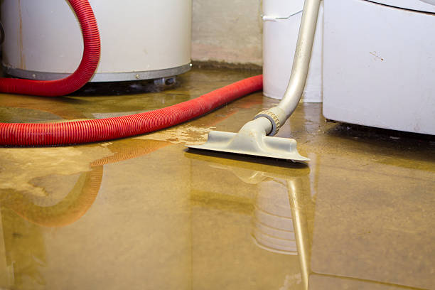 Best Carpet water damage restoration  in Poncha Springs, CO