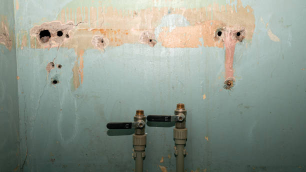 Best Basement water damage restoration  in Poncha Springs, CO