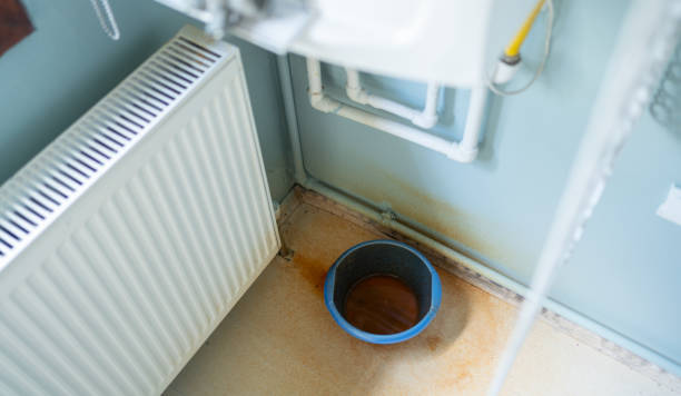 Best Sewage cleanup and water damage restoration  in Poncha Springs, CO